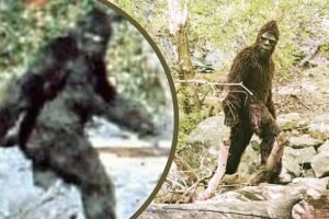 Lawton Oklahoma Bigfoot