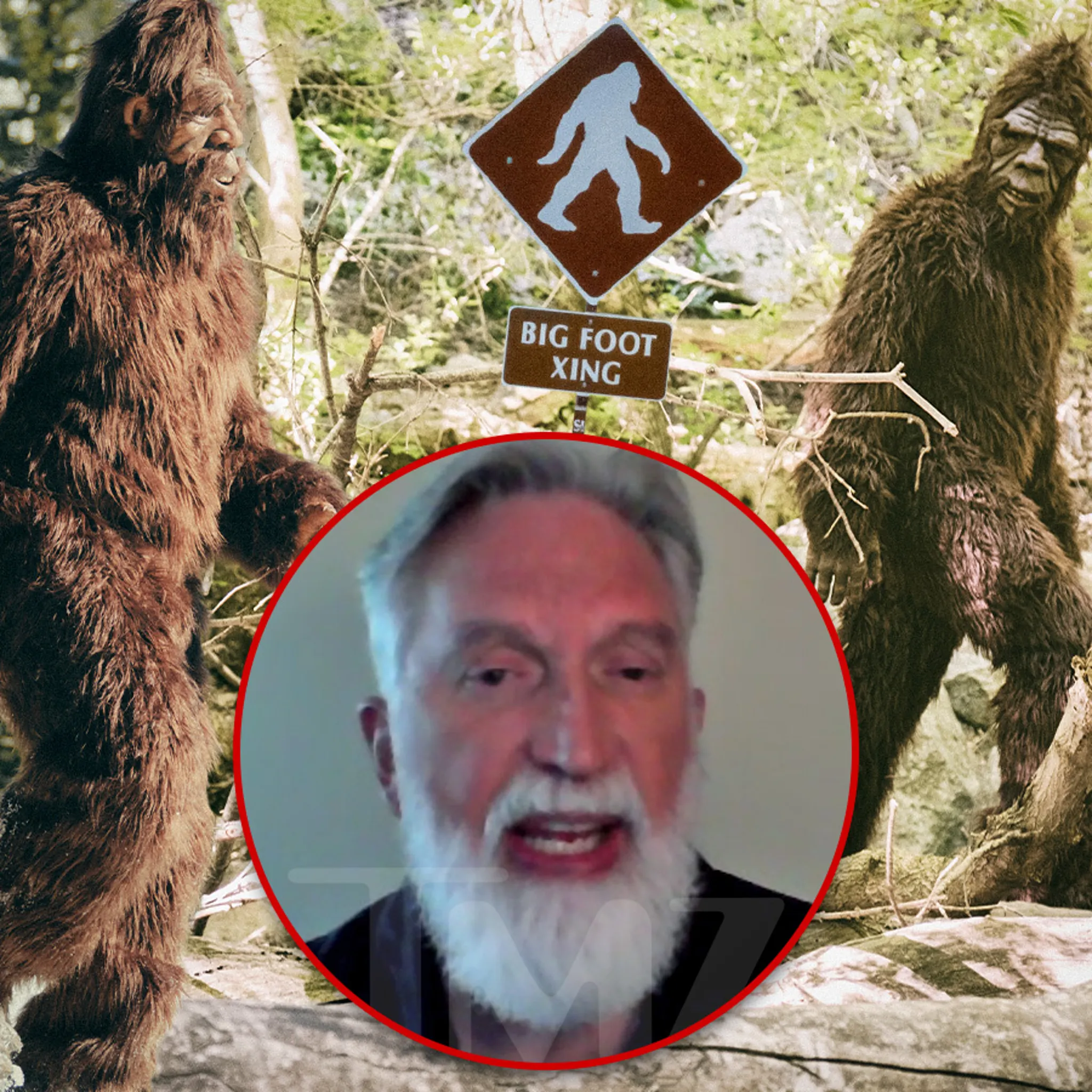 Lawton Oklahoma Bigfoot